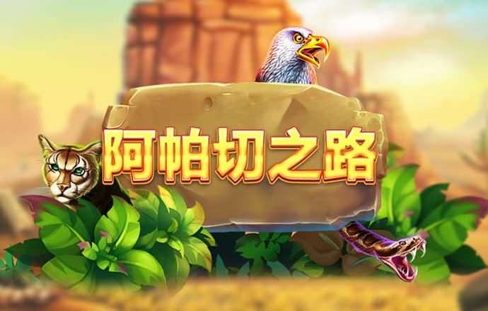 大众彩票app下载安装截图1